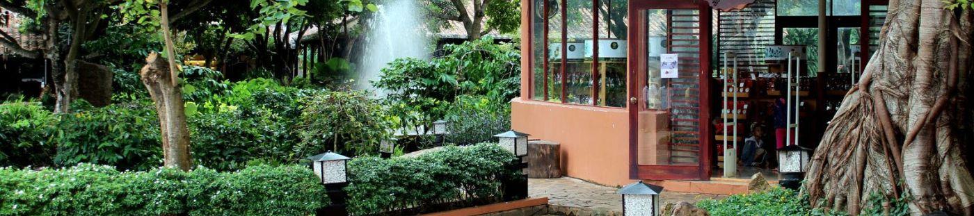 hàng loạt túi vải trồng cây treo tường với cây xanh tươi tốt bao quanh không gian ngoài trời của một quán cafe hiện đại